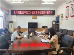 【学习专题】社市委会机关组织学习中共二十届三中全会精神