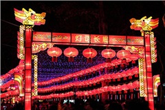 春天的回顾——《中国谜语大会》参与记