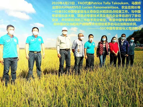 援非社员徐大建带领专家组助力马达加斯加抗击疫情及农业生产